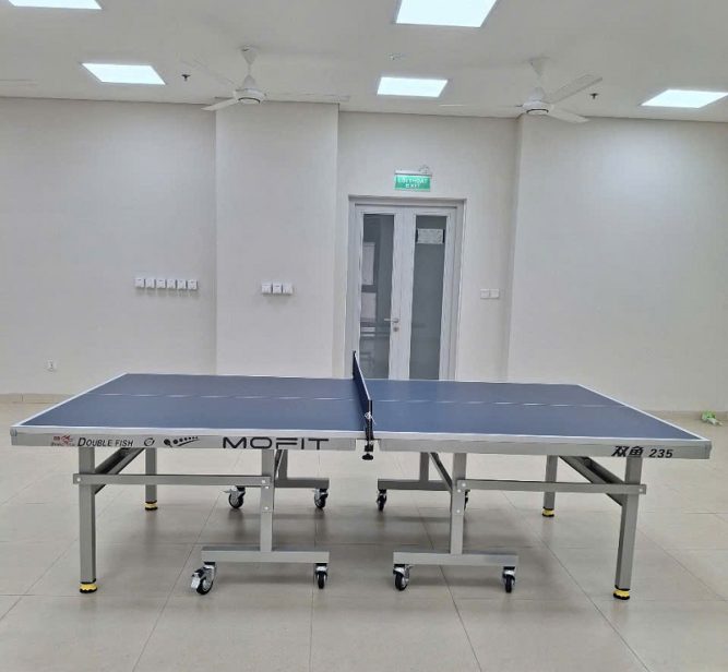 Bàn bóng bàn Double Fish 235