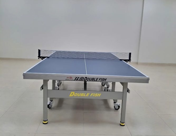Bàn bóng bàn Double Fish 235