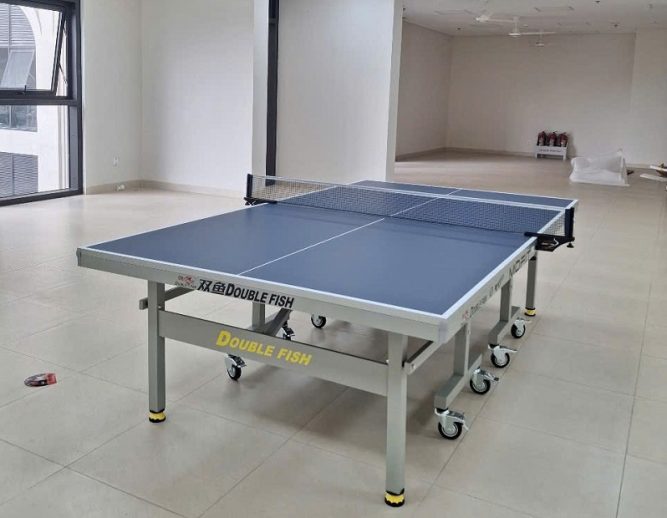 Ban bong ban Double Fish 235 4 2