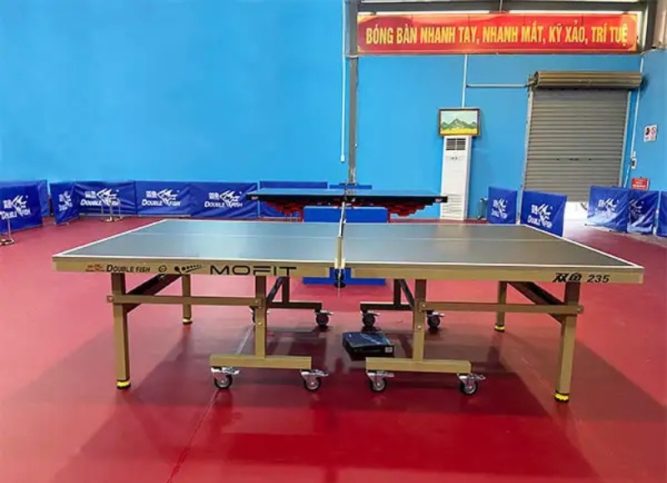 Ban bong ban Double Fish 235 New 3 2