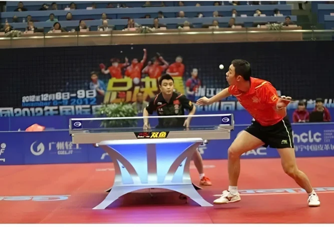 Bàn bóng bàn Double Fish Volant 2A cao cấp chuẩn ITTF 1