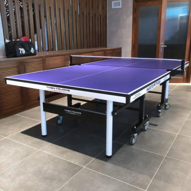 Ban bong ban Harito TT 005 3