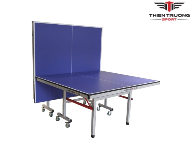 Bàn bóng bàn nhập khẩu TT-168