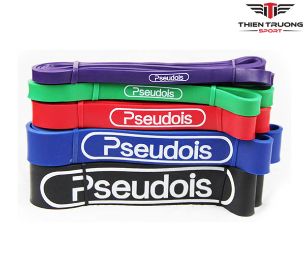 bộ dây bản thun tập thể lực Pseudois 5 màu