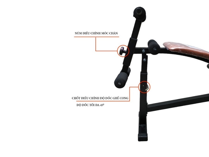 Ghế cong tập bụng Ben Pro 601003