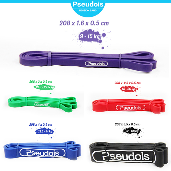 bộ dây bản thun tập thể lực Pseudois 5 màu