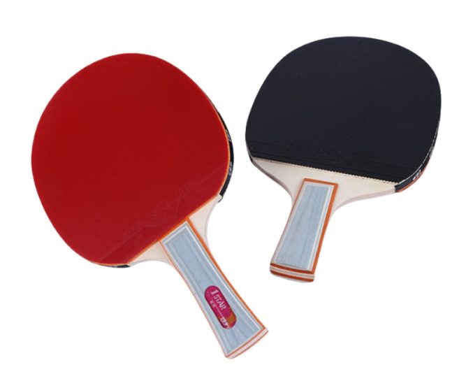Vợt bóng bàn 729 1Star