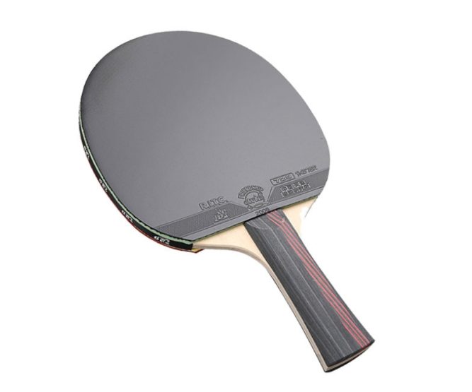 Vợt bóng bàn 729 4Star