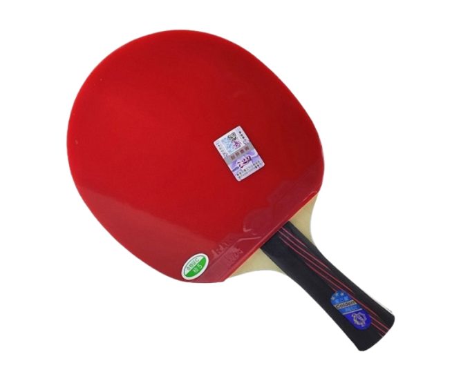 Vợt bóng bàn 729 Golden Max 3Star