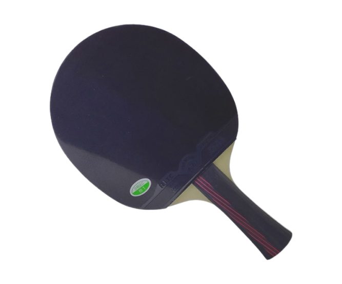 Vợt bóng bàn 729 Golden Max 3Star