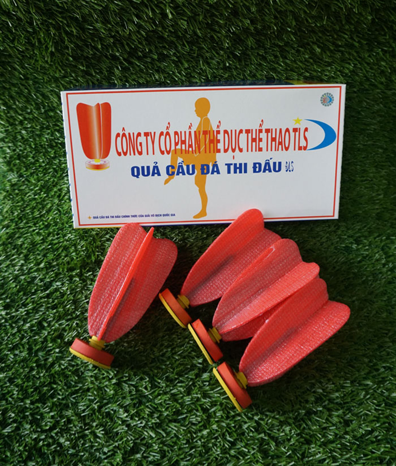 Hình ảnh quả cầu đá thi đấu ĐLS