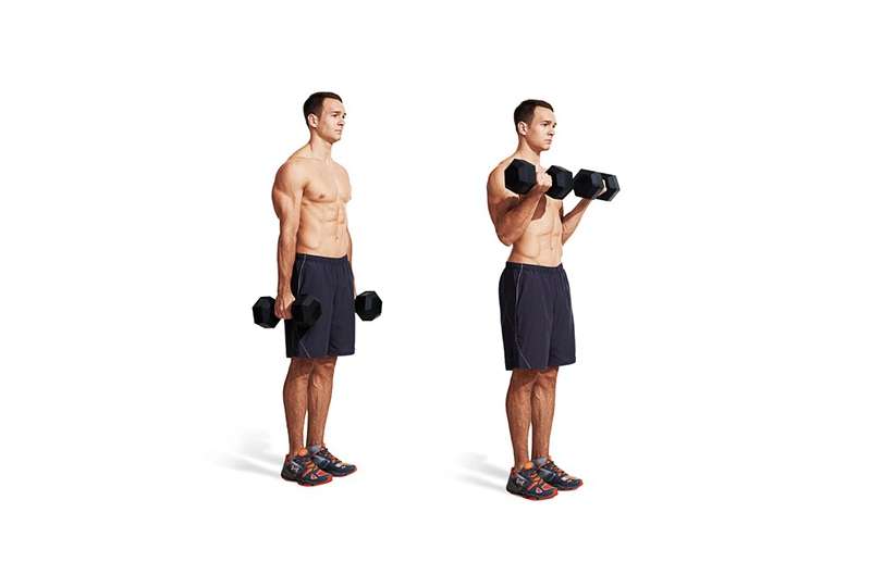 Bài tập Biceps Curl