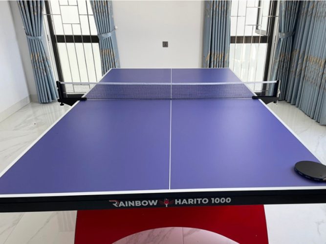 bóng bàn Rainbow-Harito 1000