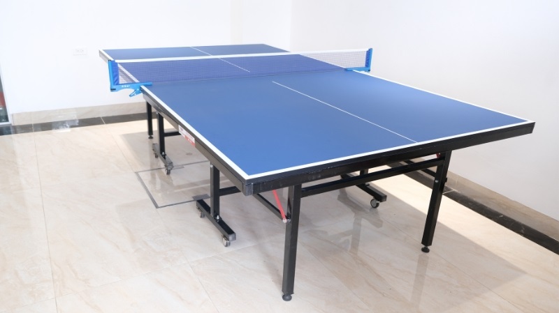 Bàn bóng bàn Thiên Trường PT-02