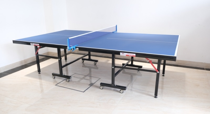 Hình ảnh thực tế Bàn bóng bàn PT-02