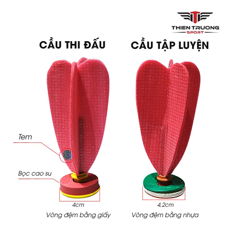 Cách lựa chọn quả cầu đá thi đấu đạt tiêu chuẩn