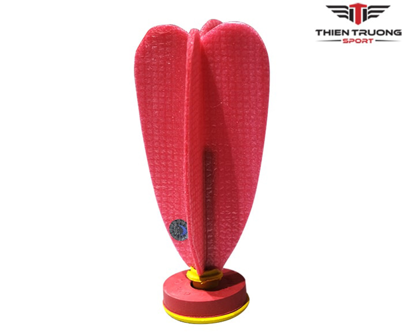 Hình ảnh quả cầu đá thi đấu ĐLS