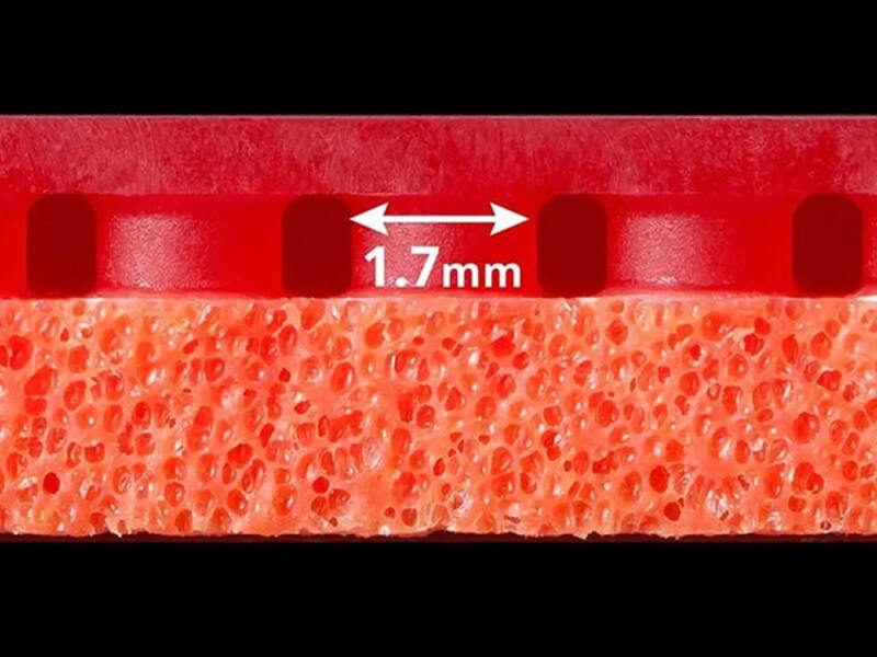 Khoảng cách giữa các mút gai là 1,7mm