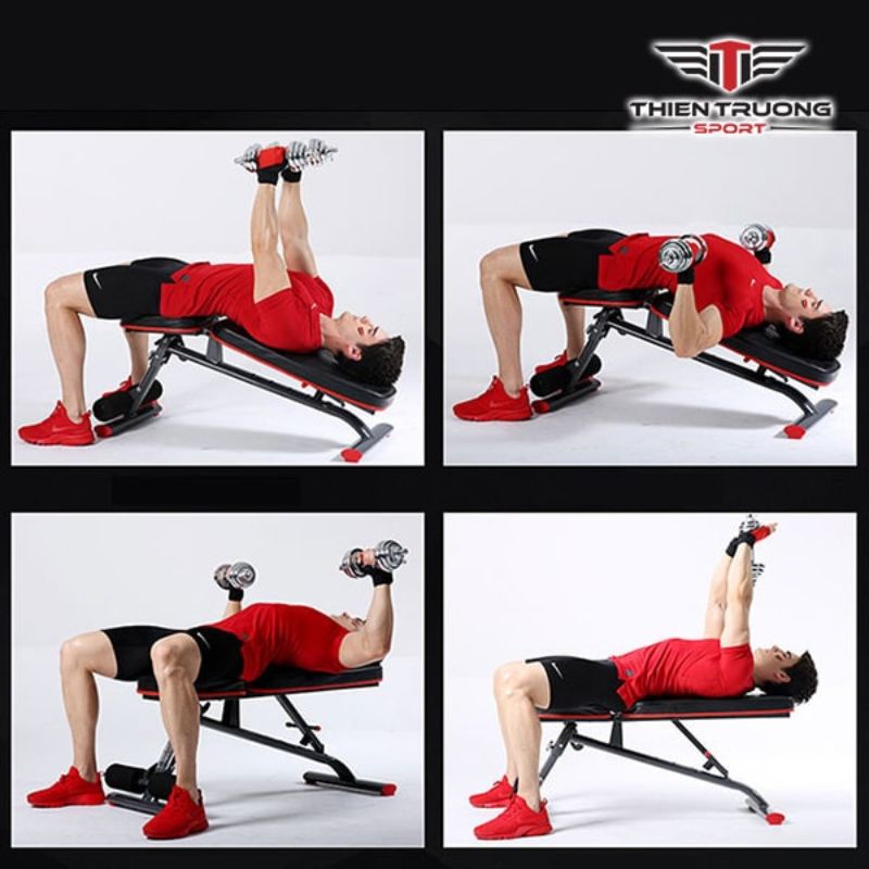 ghế tập Gym đa năng DDS-201