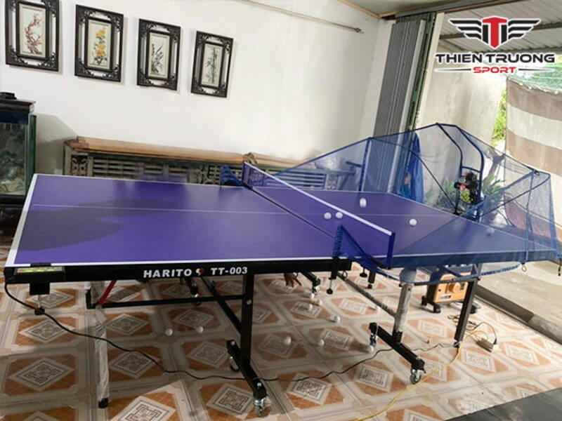 Hình ảnh lắp đặt thực tế máy bắn bóng bàn V-989D