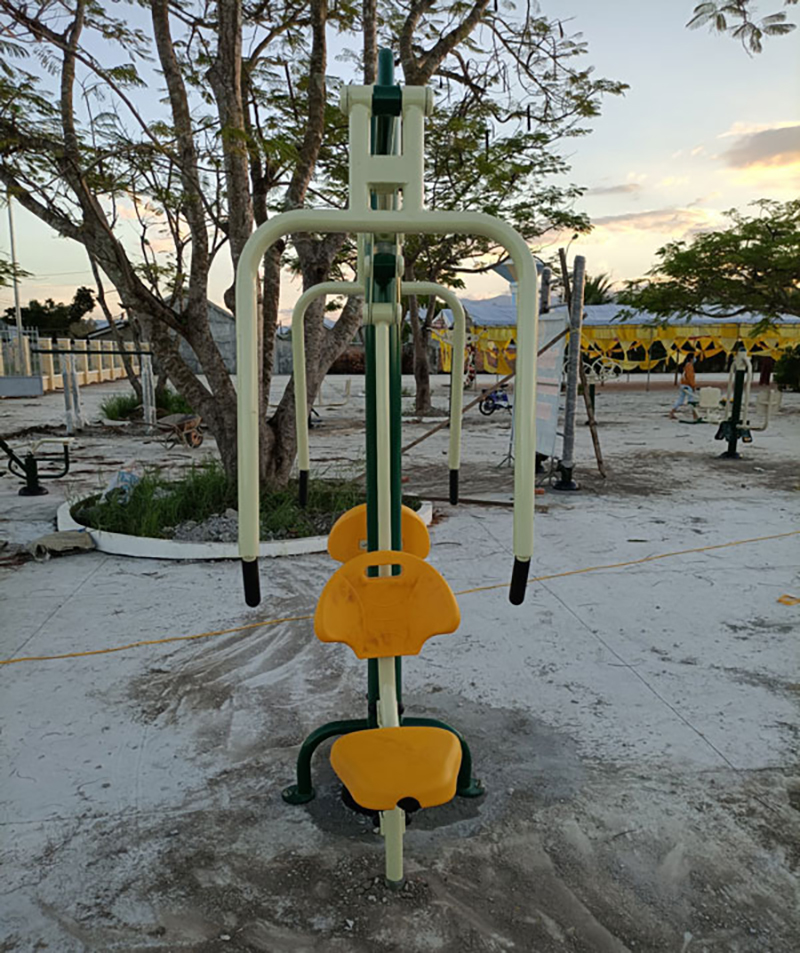 Hình ảnh thực tế Máy Tập Đẩy Tay HQ-631