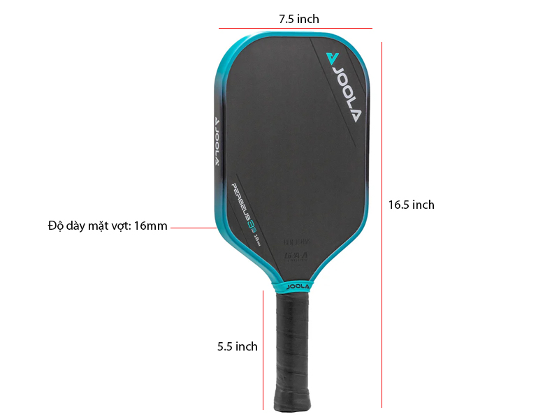 Kích thước vợt Joola Ben Johns Perseus 3S 16mm