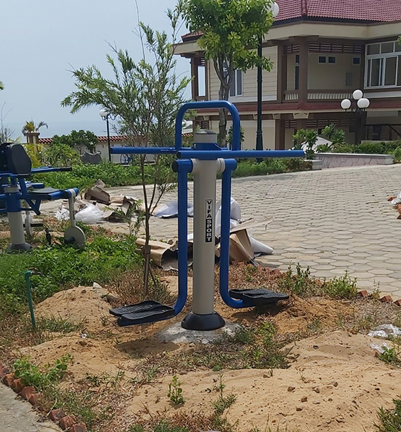 Hình ảnh thực tế Dụng cụ tập lưng eo Vifa Sport VIFA-711322