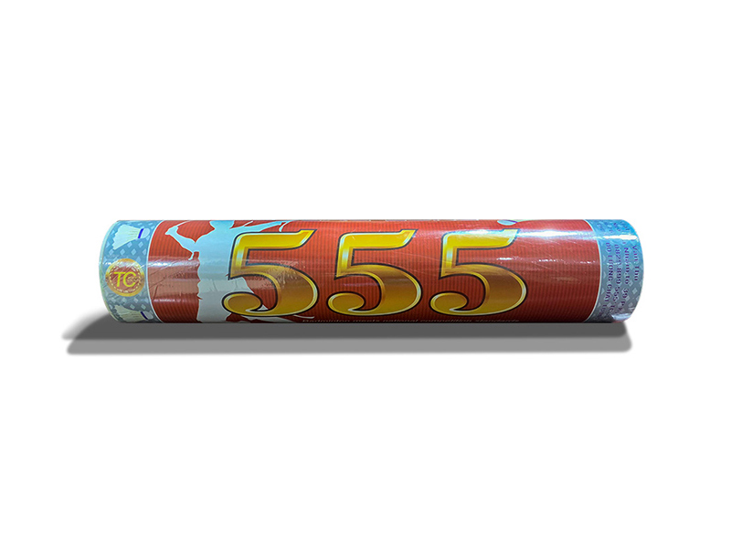 Hộp đựng quả cầu lông 555