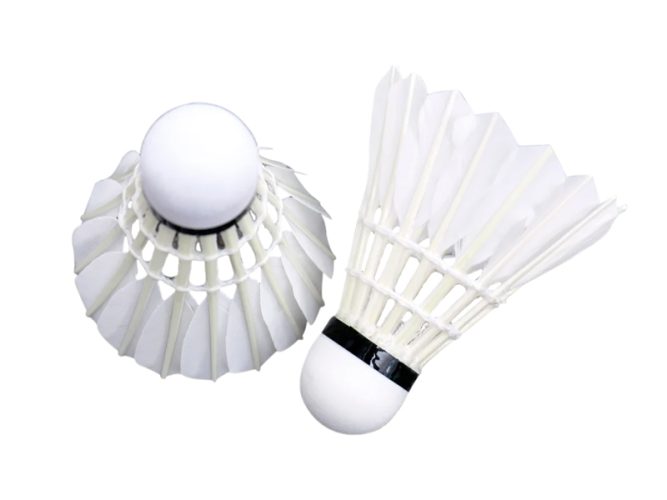 Quả cầu lông học sinh Tiến Bộ