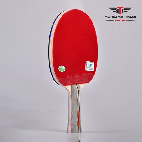 Vợt bóng bàn 729 2060