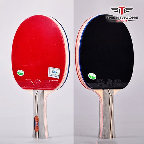 Vợt bóng bàn 729 2060