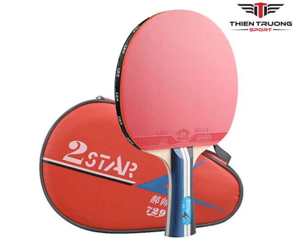 Vợt bóng bàn 729 2Star