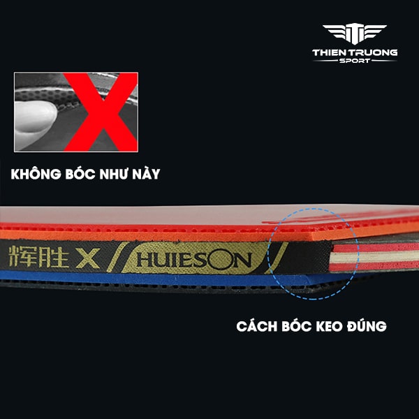 vợt bóng bàn Huieson 5 sao