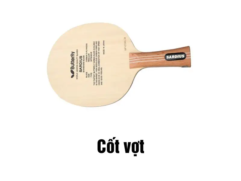 Cấu tạo vợt bóng bàn đạt chuẩn ITTF