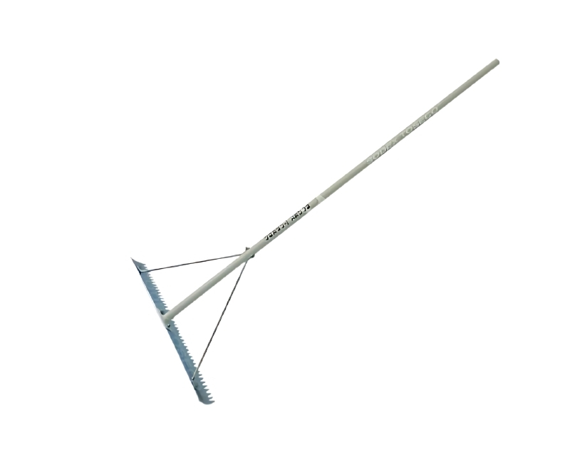 Cây san cát S30521