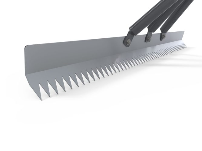 Cây san cát S30521