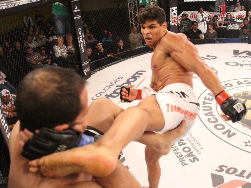 Giải đấu MMA thế giới Jungle Fight