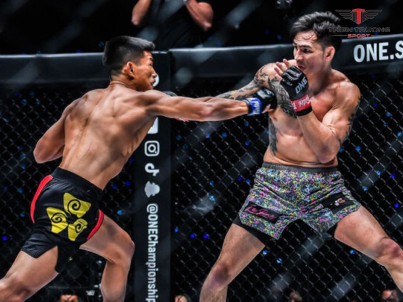 Giải đấu MMA thế giới ONE Championship