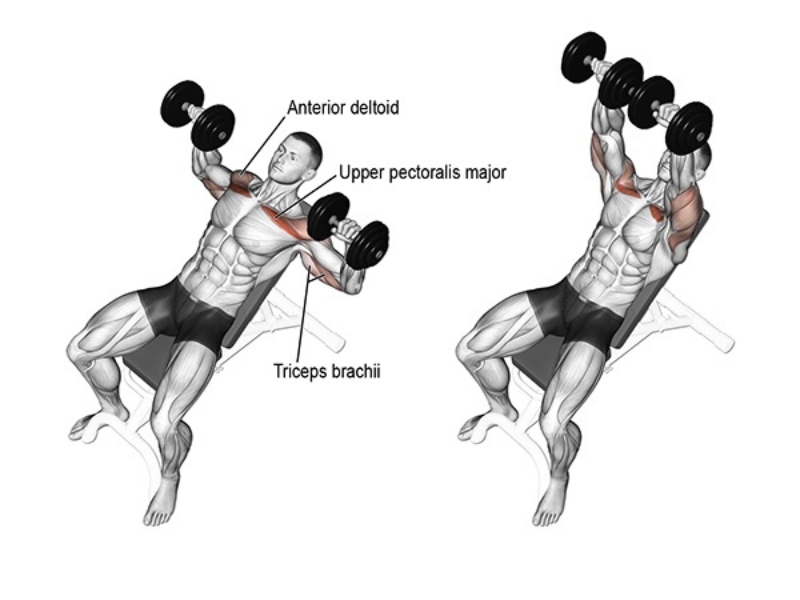 1. Incline Dumbbell Press là gì?