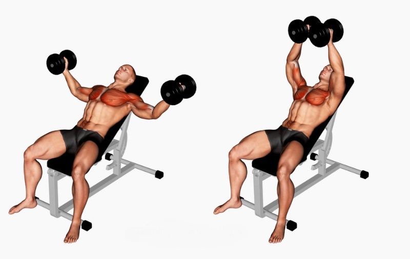 Bài tập Incline Dumbbell Fly