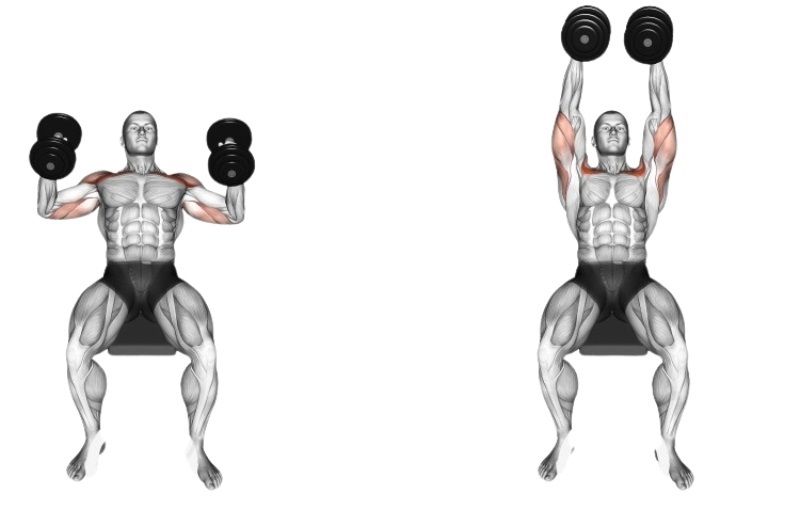 Bài tập Incline Neutral-Grip Dumbbell Press