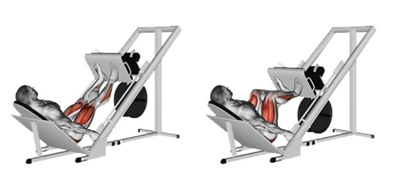 Leg Press là gì
