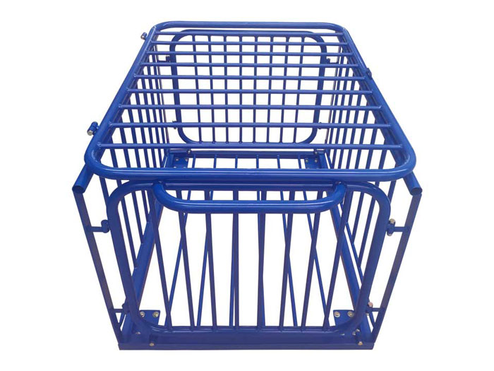 xe đựng bóng S30532