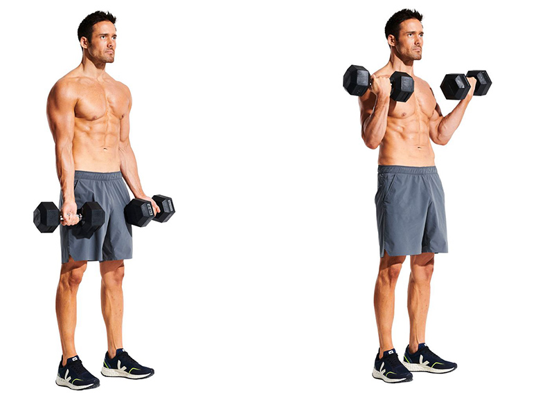 Bài tập thể hình với tạ Bicep Curl