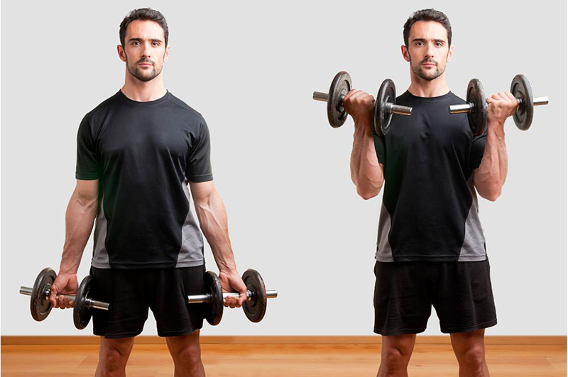 Bài tập Dumbbell Biceps Curl