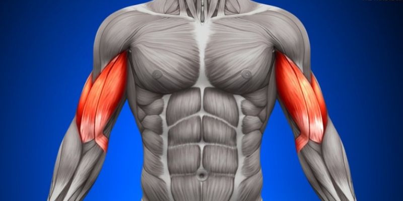 bài tập tăng lực đấm ra đòn mạnh trong boxing