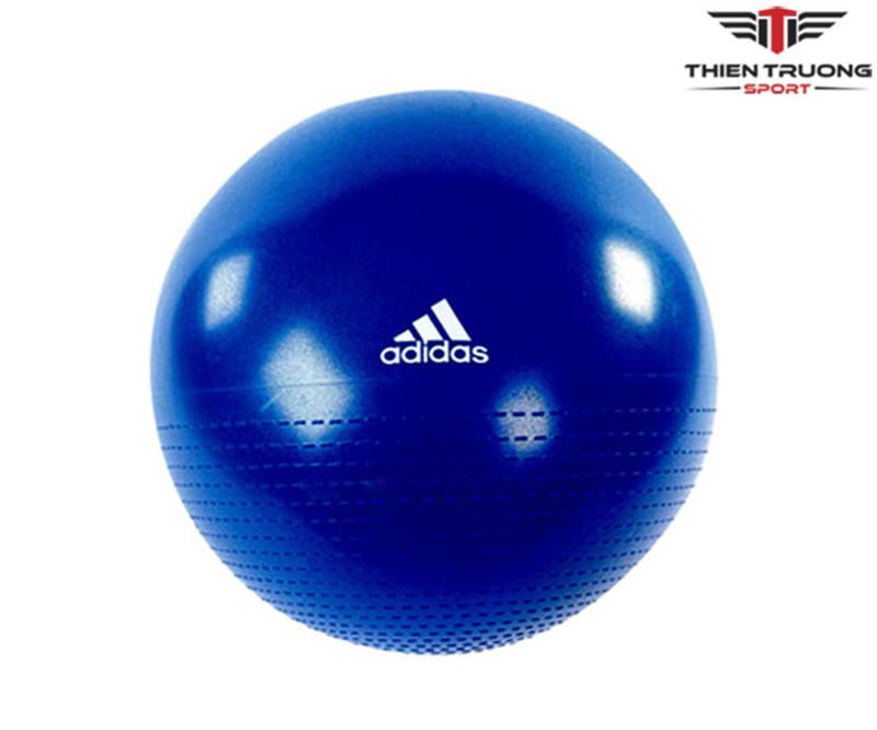 Hình ảnh bóng tập thể dục ADBL 12248