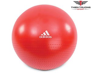Hình ảnh bóng thể dục Adidas AD-12245