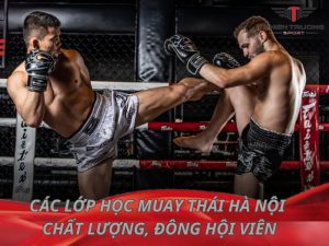 Các lớp học Muay Thái Hà Nội