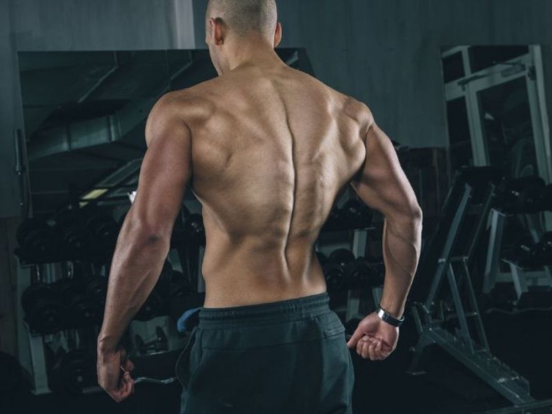 Tập cơ lưng xô mang lại nhiều lợi ích quan trọng cho cơ thể